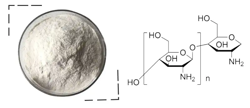 cytoplasm Factoey.jpg